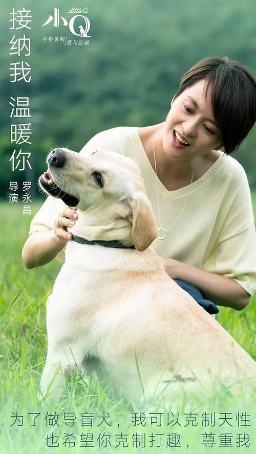 哪里能办日本爱知淑德大学文凭毕业证